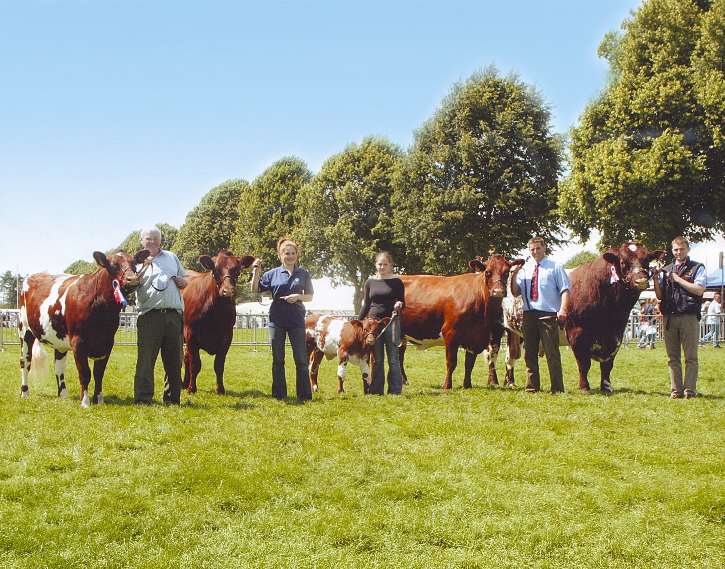 The Glenariff Team