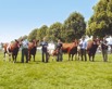 The Glenariff Team