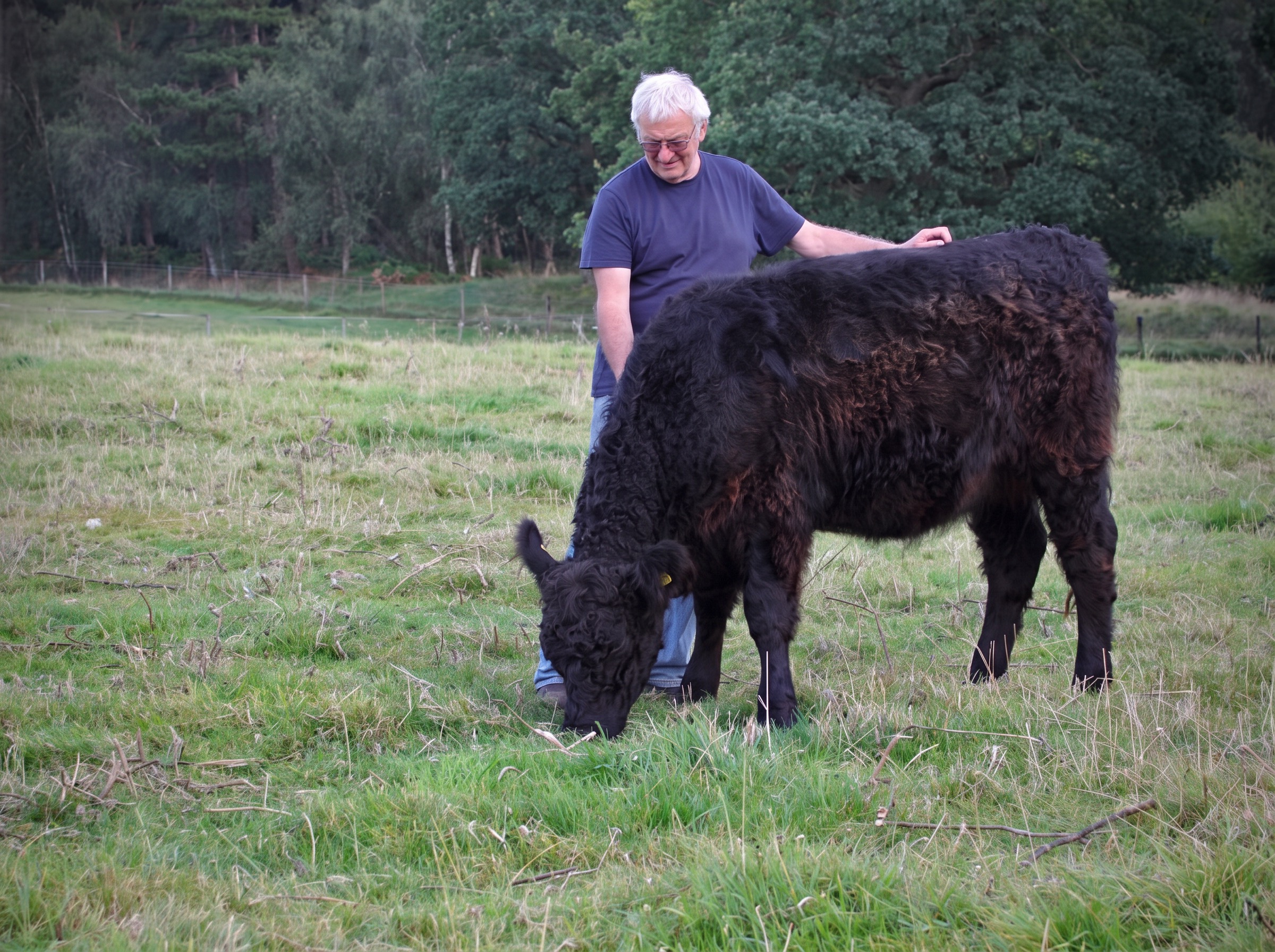 Nick with a young Galloway