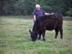 Nick with a young Galloway