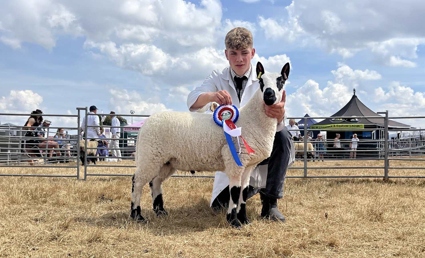 Breed champion wayland show 2026